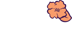 Farmácia Violeta